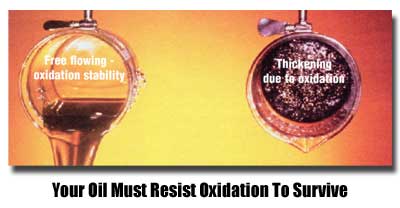 Oil Oxidation Death